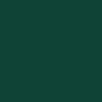 Зелений (RAL 6005)